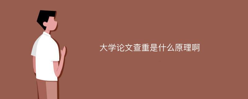 大学论文查重是什么原理啊