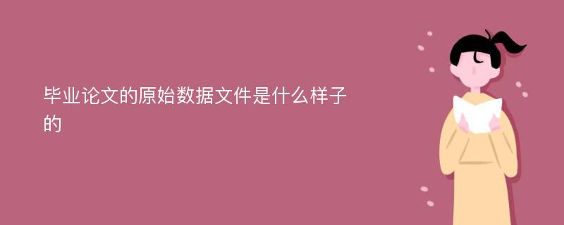 毕业论文的原始数据文件是什么样子的